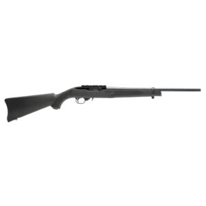 Ruger 10-22 Cal 22LR