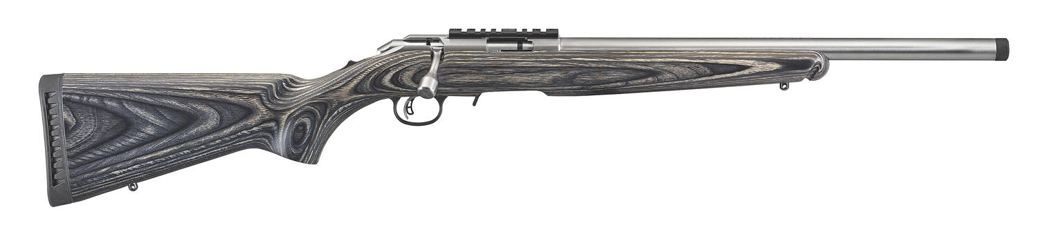 Ruger 22LR American Stainless Steel Target