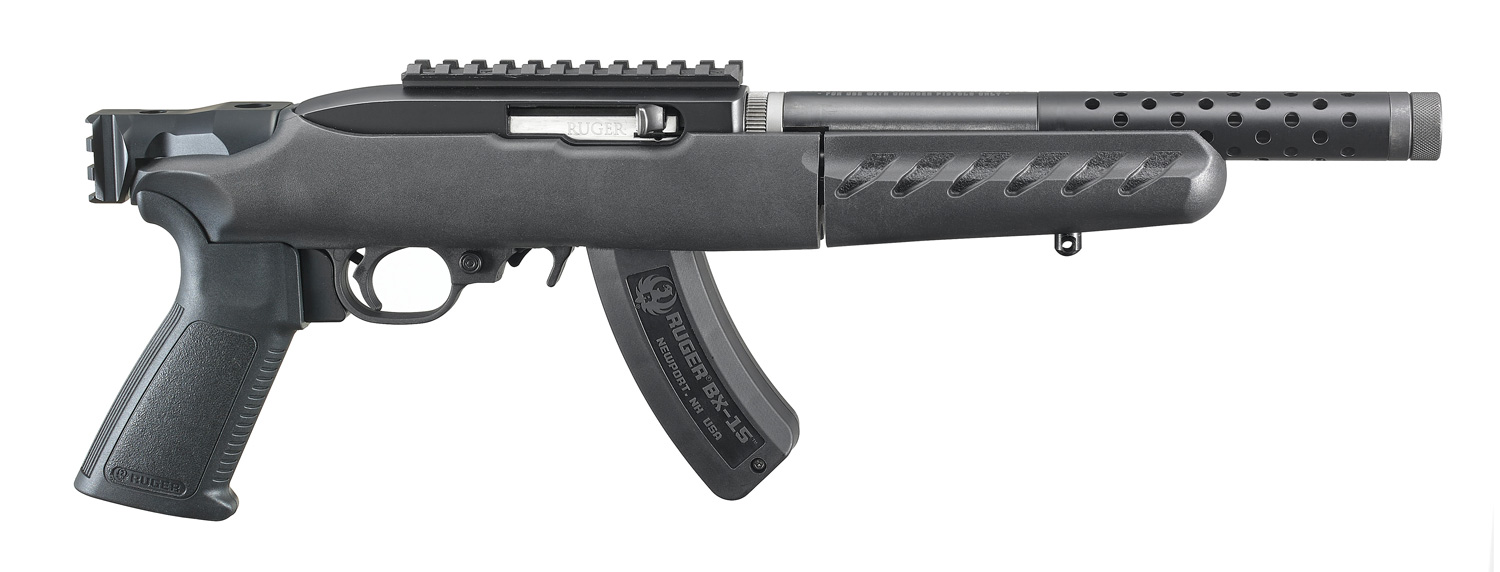 Ruger 22LR Charger Takedown Lite with Brace Mount