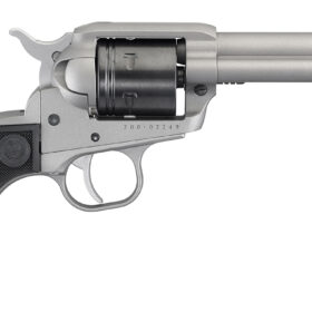 Ruger 22LR Wrangler w/Silver Cerakote (2003)