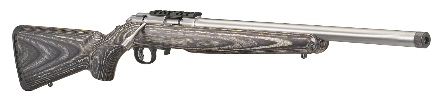 Ruger 22LR American Stainless Steel Target - Image 5