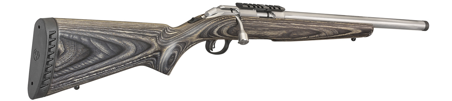 Ruger 22LR American Stainless Steel Target - Image 4