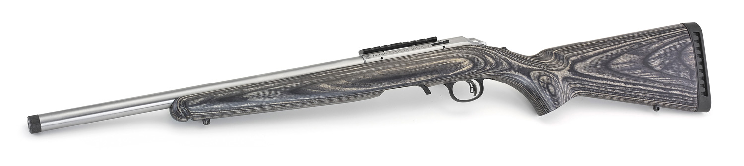 Ruger 22LR American Stainless Steel Target - Image 3