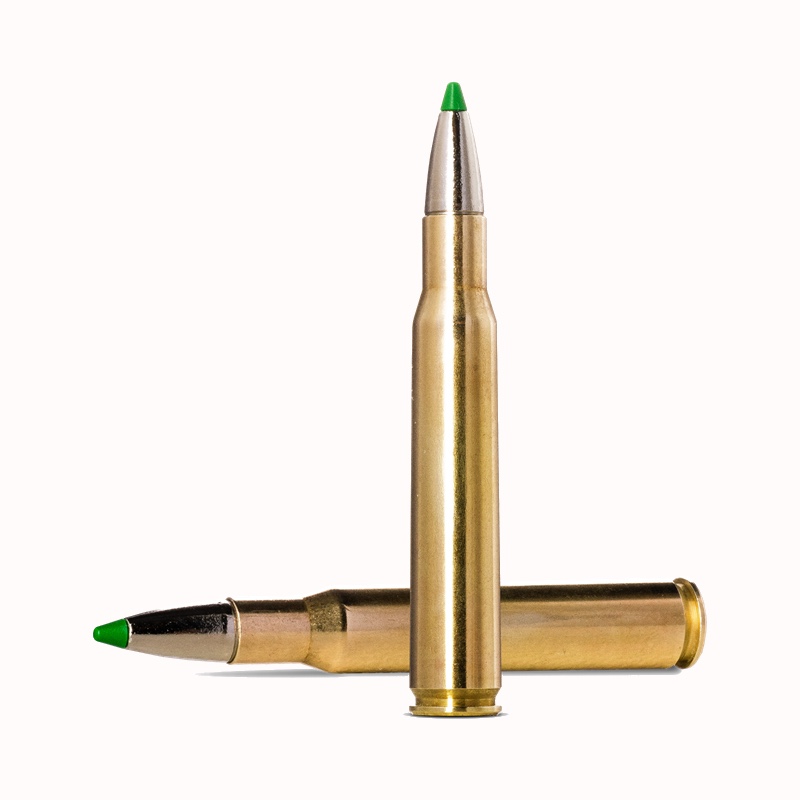 Norma ECOSTRIKE .30-06 SPRG 150gr