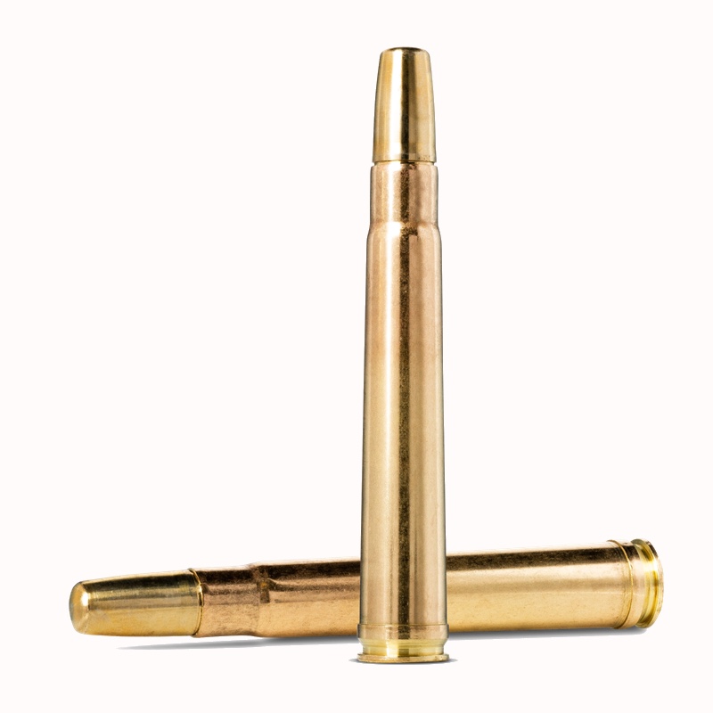 Norma Solid .375 H&H Mag. 300gr