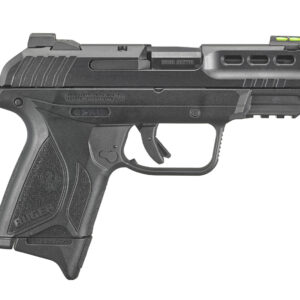 RUGER SECURITY-380 9MM SHORT (3839)