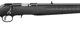 RUGER 17HMR AMERICAN RIMFIRE (8311)