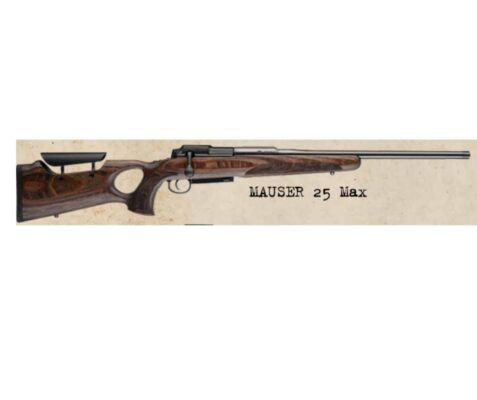 Mauser 25 Max