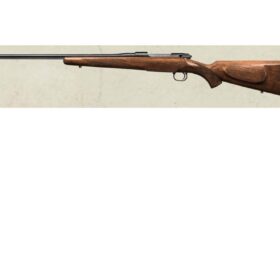 Mauser M12 Pure Solid